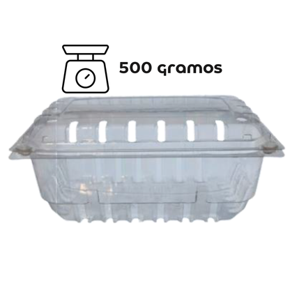 Envase Contenedor Para Fruta Clamshell 500 gr (100 Unidades)