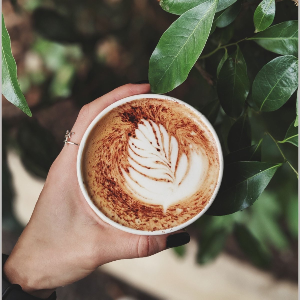 Vaso Polipapel 8 oz Diseño Café (1.000 Unidades) - OmniPack